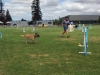 Eva Canova and Belgian malinois Juki